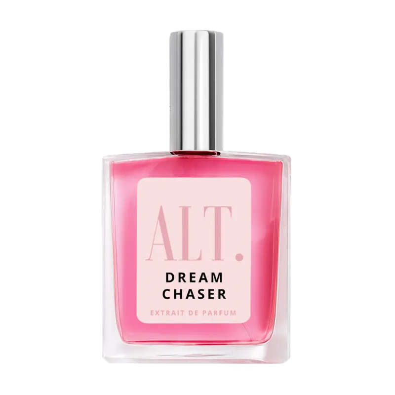 Dream Chaser